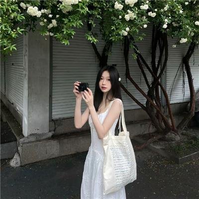 凤凰城故事